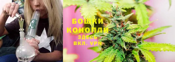 прущий лед Яровое